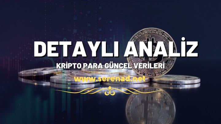 REFLECTO - Reflecto 2022 Yılı Yorumları ve Geleceği