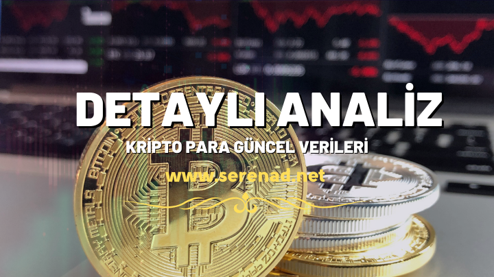 SHIBARMY - Shib Army 2022 Yılı Yorumları ve Geleceği